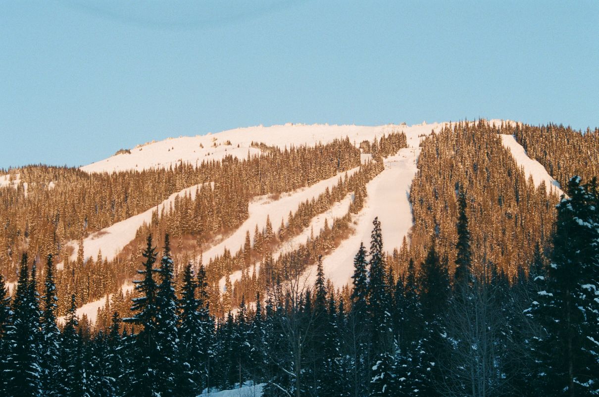 the sky, sunwashed mountain and dark trees in the foreground make for a splendid tricolor